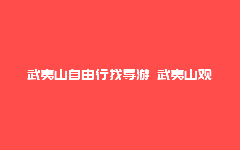 武夷山自由行找导游 武夷山观光车票有必要买吗？