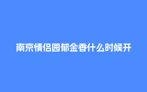 南京情侣园郁金香什么时候开