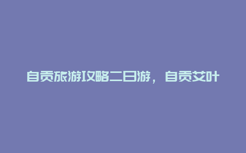 自贡旅游攻略二日游，自贡艾叶古镇旅游攻略？