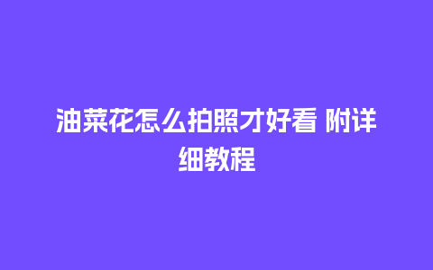 油菜花怎么拍照才好看 附详细教程