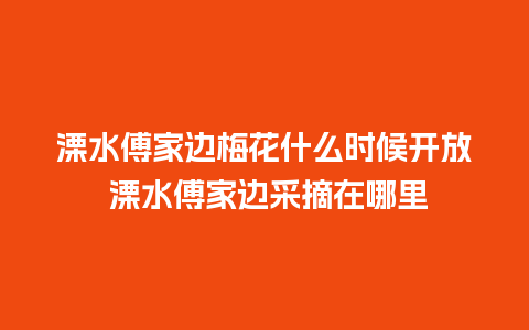 溧水傅家边梅花什么时候开放 溧水傅家边采摘在哪里