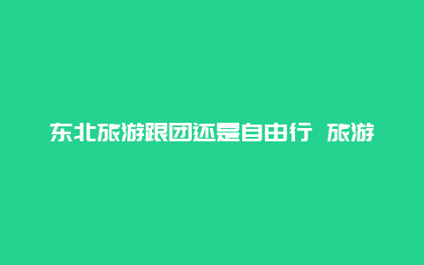 东北旅游跟团还是自由行 旅游你喜欢跟团，还是自驾？