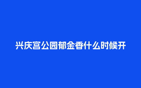 兴庆宫公园郁金香什么时候开