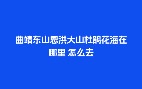 曲靖东山恩洪大山杜鹃花海在哪里 怎么去