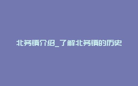 北务镇介绍_了解北务镇的历史和现状