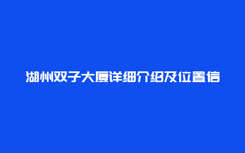 湖州双子大厦详细介绍及位置信息