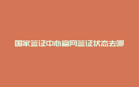 国家签证中心官网签证状态去哪里可以查询？