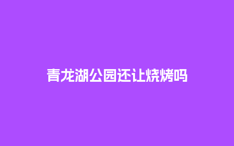 青龙湖公园还让烧烤吗