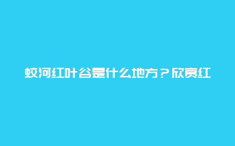 蛟河红叶谷是什么地方？欣赏红叶需要注意什么？