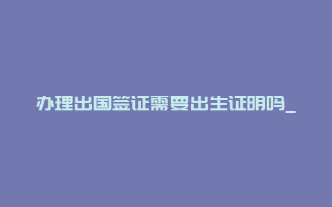 办理出国签证需要出生证明吗_小孩出生证明没有了可以报名上幼儿园和小学吗？