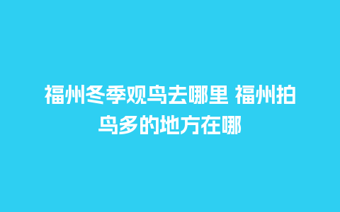 福州冬季观鸟去哪里 福州拍鸟多的地方在哪