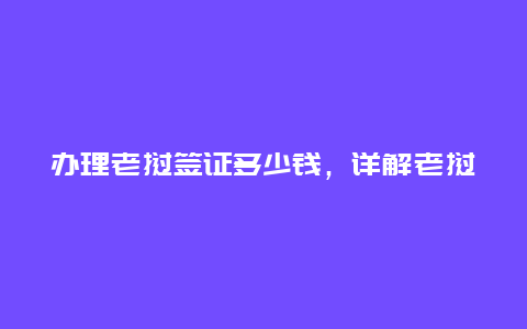 办理老挝签证多少钱，详解老挝签证办理流程和费用