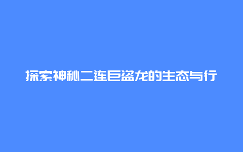 探索神秘二连巨盗龙的生态与行为习性