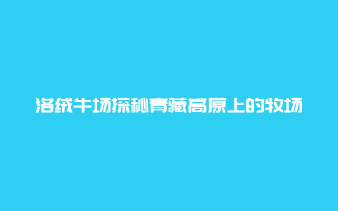 洛绒牛场探秘青藏高原上的牧场生活