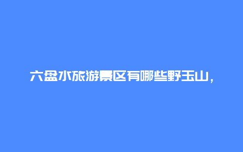 六盘水旅游景区有哪些野玉山，六盘水到杭州东高铁途经哪些地方？