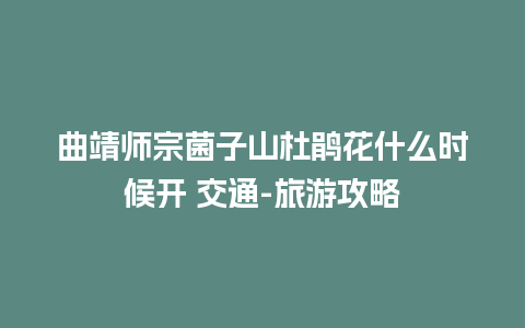 曲靖师宗菌子山杜鹃花什么时候开 交通-旅游攻略