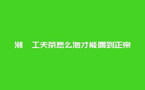 潮汕工夫茶怎么泡才能喝到正宗的味道？