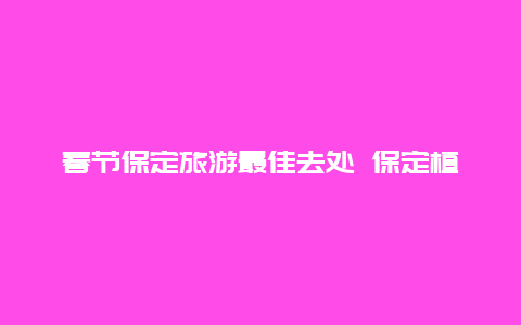 春节保定旅游最佳去处 保定植物园灯光秀初一营业吗？