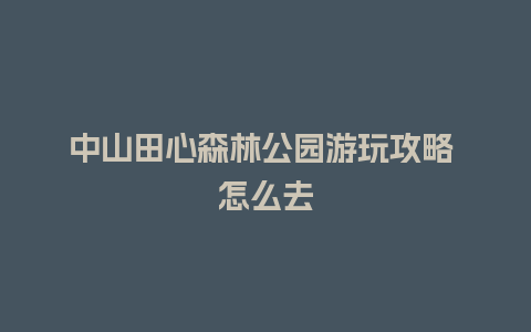 中山田心森林公园游玩攻略 怎么去