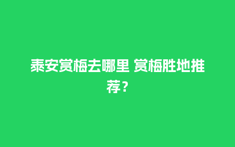 泰安赏梅去哪里 赏梅胜地推荐？