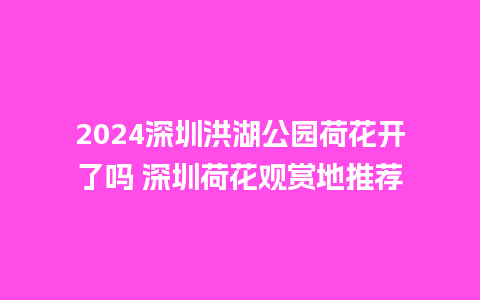 2024深圳洪湖公园荷花开了吗 深圳荷花观赏地推荐