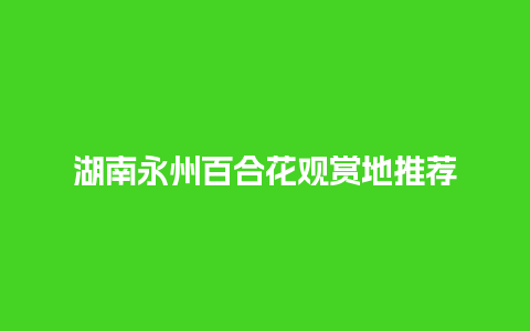 湖南永州百合花观赏地推荐