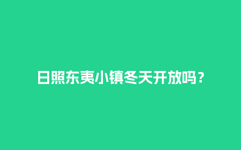 日照东夷小镇冬天开放吗？