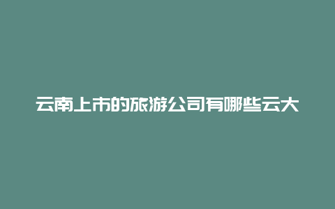 云南上市的旅游公司有哪些云大旅院学费多少？