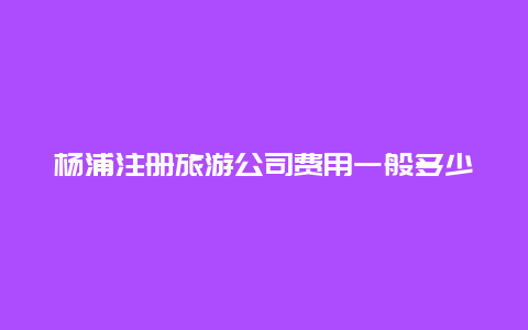 杨浦注册旅游公司费用一般多少 关于保险公司？