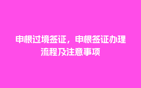 申根过境签证，申根签证办理流程及注意事项