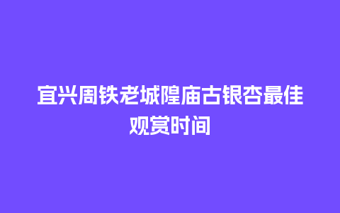 宜兴周铁老城隍庙古银杏最佳观赏时间