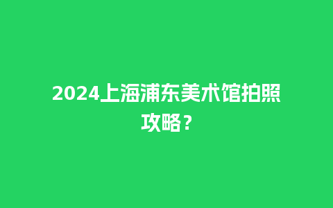 2024上海浦东美术馆拍照攻略？