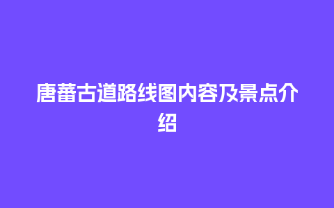 唐蕃古道路线图内容及景点介绍