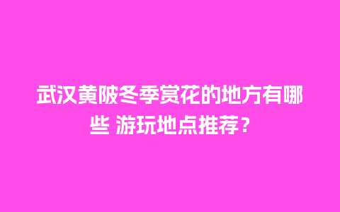 武汉黄陂冬季赏花的地方有哪些 游玩地点推荐？