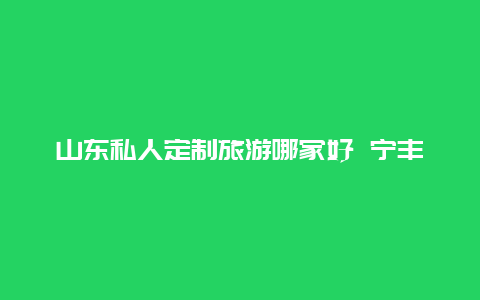 山东私人定制旅游哪家好 宁丰欧松板和鲁丽哪个好？