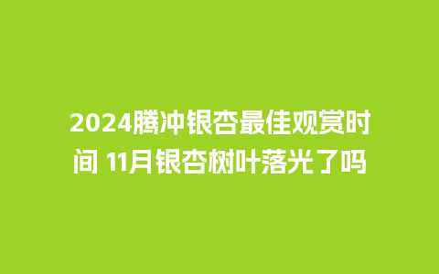 2024腾冲银杏最佳观赏时间 11月银杏树叶落光了吗