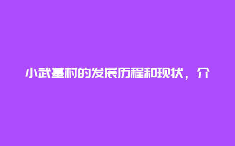 小武基村的发展历程和现状，介绍小武基村的发展和变迁