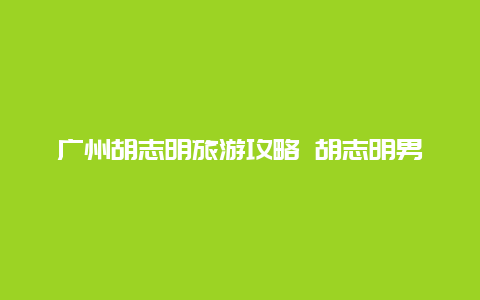 广州胡志明旅游攻略 胡志明男人自由行攻略？