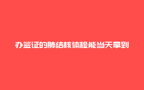 办签证的肺结核体检能当天拿到吗，482签证体检内容？