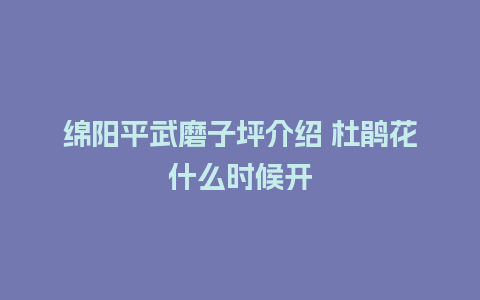 绵阳平武磨子坪介绍 杜鹃花什么时候开