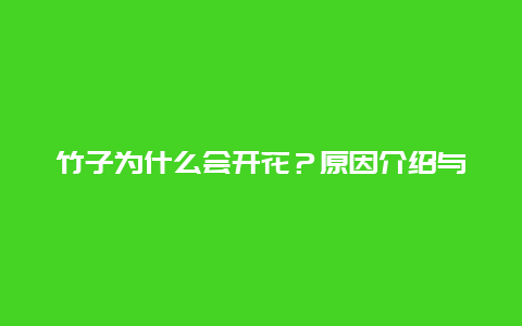 竹子为什么会开花？原因介绍与解决方法