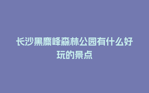 长沙黑麋峰森林公园有什么好玩的景点