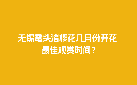 无锡鼋头渚樱花几月份开花 最佳观赏时间？