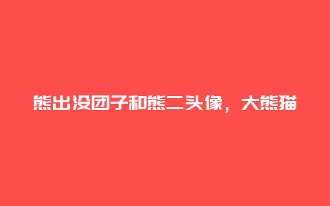 熊出没团子和熊二头像，大熊猫究竟有多可爱？