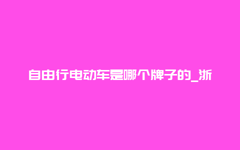 自由行电动车是哪个牌子的_浙江允许上牌的电瓶车？