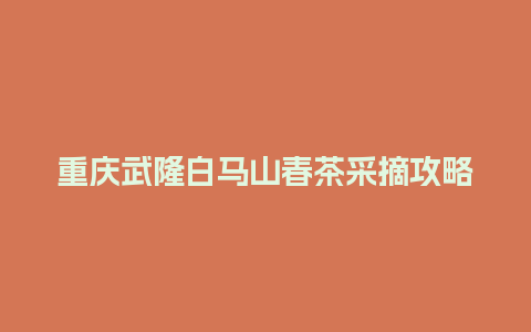 重庆武隆白马山春茶采摘攻略