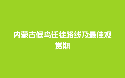 内蒙古候鸟迁徙路线及最佳观赏期