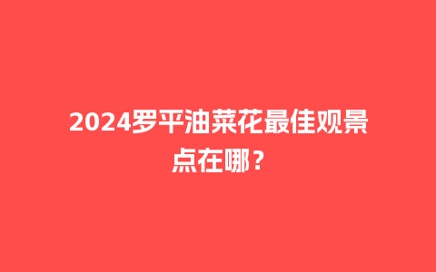 2024罗平油菜花最佳观景点在哪？