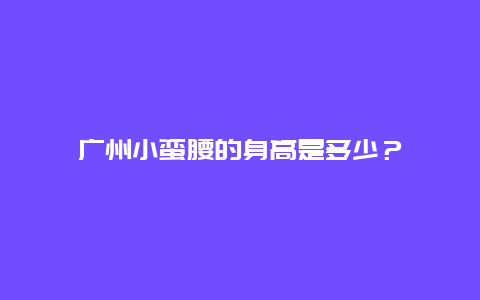 广州小蛮腰的身高是多少？