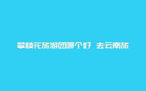 攀枝花旅游团哪个好 去云南旅游跟团游比较好还是自费游比较好？有什么建议吗？